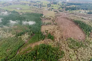 30610 Santiam Hwy, Lebanon, OR 97355 - Photo 43