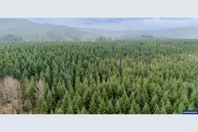 30610 Santiam Hwy, Lebanon, OR 97355 - Photo 49