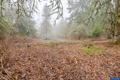 30610 Santiam Hwy, Lebanon, OR 97355 - Photo 39