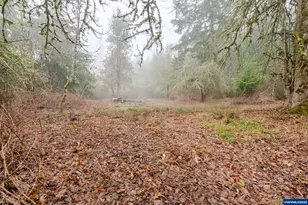 30610 Santiam Hwy, Lebanon, OR 97355 - Photo 39