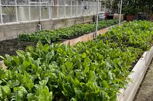 3937 Cousteau Dr SE, Salem, OR 97302 - Photo 25