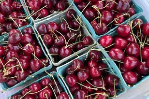 3937 Cousteau Dr SE, Salem, OR 97302 - Photo 23