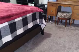 3714 Lafayette St SE, Albany, OR 97322 - Photo 15