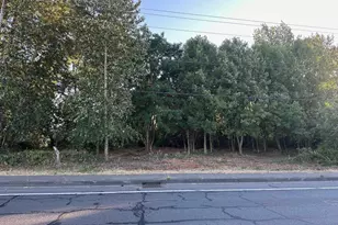 Pacific N Of Morse Bl, Albany, OR 97321 - Photo 1