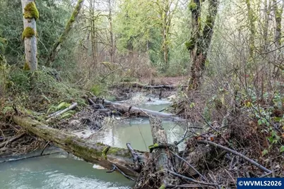 37905 S Wilhoit Rd, Molalla, OR 97038 - Photo 43