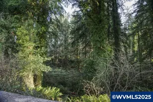 1268 SE 18th St, Toledo, OR 97391 - Photo 43