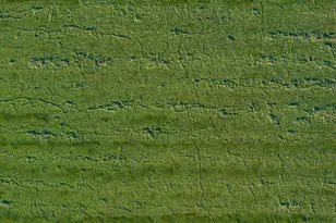 33877 Red Bridge Rd SE, Albany, OR 97322 - Photo 13