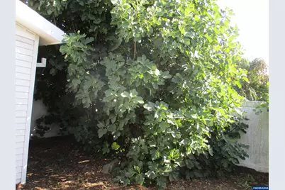 4730 Auburn Rd NE #123 Rd, Salem, OR 97301 - Photo 9