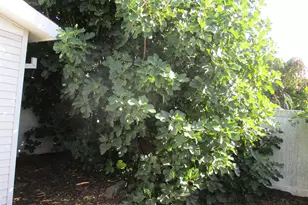 4730 Auburn Rd NE #123 Rd, Salem, OR 97301 - Photo 9