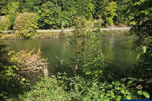 10195 Sweet Creek Rd, Mapleton, OR 97453 - Photo 3