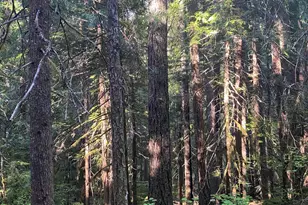 18 Marion Creek Rd, Idanha, OR 97350 - Photo 13