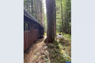 18 Marion Creek Rd, Idanha, OR 97350 - Photo 3