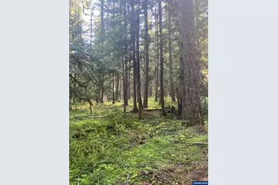 18 Marion Creek Rd, Idanha, OR 97350 - Photo 9