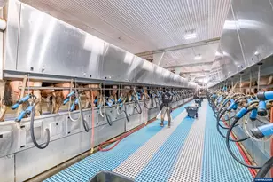 35725 Engle Rd, Albany, OR 97322 - Photo 23