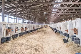 35725 Engle Rd, Albany, OR 97322 - Photo 27