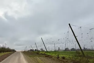 4797 St Paul Hwy, Saint Paul, OR 97137 - Photo 27