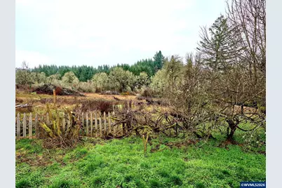 750 NE 5th St, Willamina, OR 97396 - Photo 31