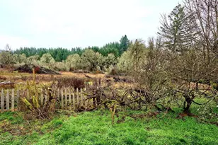 750 NE 5th St, Willamina, OR 97396 - Photo 31