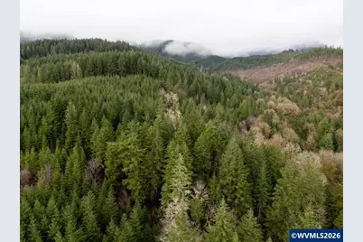 17463 Alsea (-17523) Hwy, Alsea, OR 97324 - Photo 41