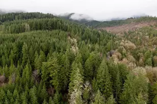 17463 Alsea (-17523) Hwy, Alsea, OR 97324 - Photo 41