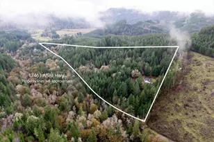 17463 Alsea (-17523) Hwy, Alsea, OR 97324 - Photo 49