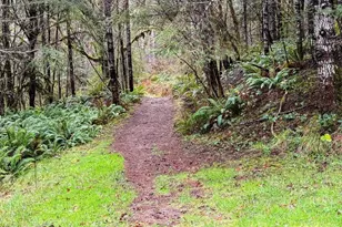 17463 Alsea (-17523) Hwy, Alsea, OR 97324 - Photo 43