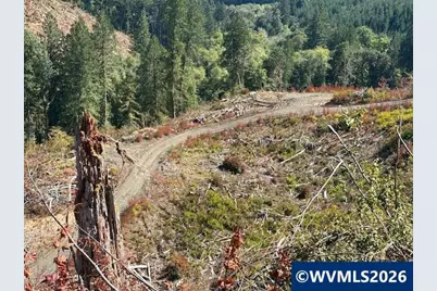 00 Van Horn Rd, Alsea, OR 97324 - Photo 9