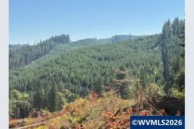 00 Van Horn Rd, Alsea, OR 97324 - Photo 7