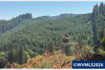 00 Van Horn Rd, Alsea, OR 97324 - Photo 5