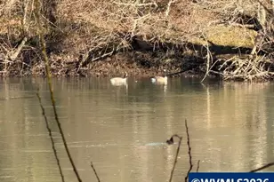 4531 Franklin Bl, Eugene, OR 97403 - Photo 23