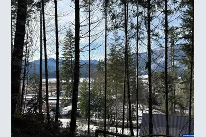 145 Scott Av S, Detroit, OR 97342 - Photo 3