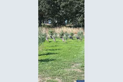 26191 Bruce Rd, Monroe, OR 97456 - Photo 27