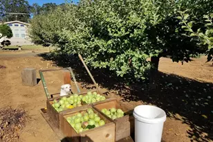 26191 Bruce Rd, Monroe, OR 97456 - Photo 23