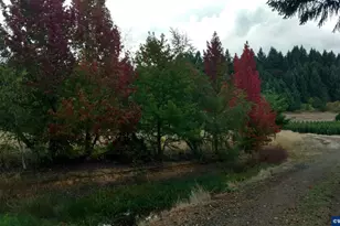 26191 Bruce Rd, Monroe, OR 97456 - Photo 25