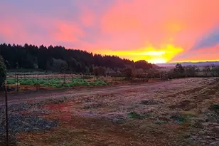 26191 Bruce Rd, Monroe, OR 97456 - Photo 21