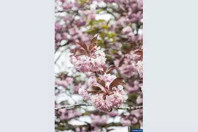 5704 NE Keene Rd, Gervais, OR 97026 - Photo 33