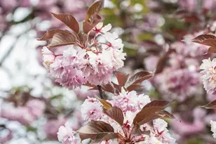 5704 NE Keene Rd, Gervais, OR 97026 - Photo 33