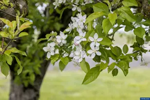 5704 NE Keene Rd, Gervais, OR 97026 - Photo 25