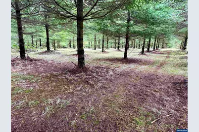 Lot 903 Everett Dr S, Salem, OR 97306 - Photo 27