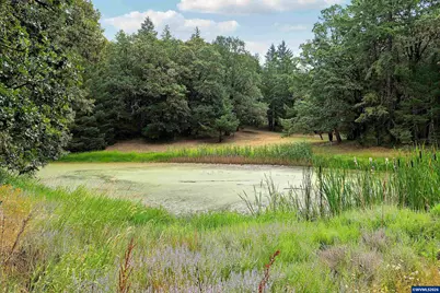 375 Pioneer Rd, Dallas, OR 97338 - Photo 47