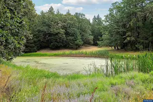 375 Pioneer Rd, Dallas, OR 97338 - Photo 47