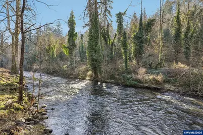 928 Barger St, Silverton, OR 97381 - Photo 39