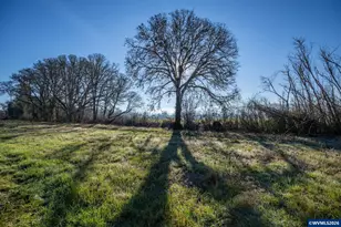 238 W Jadon Dr, Lebanon, OR 97355 - Photo 31