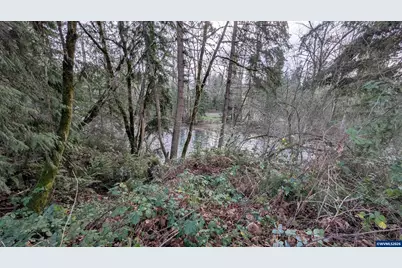 16150 S Riverview Rd, Molalla, OR 97038 - Photo 5