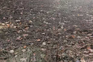 16150 S Riverview Rd, Molalla, OR 97038 - Photo 11