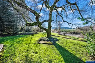 26240 Cherry Creek Rd, Monroe, OR 97456 - Photo 39