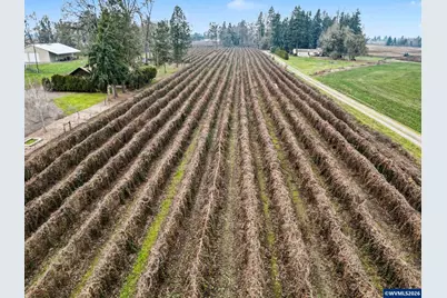 13763 NE French Prairie Rd, Gervais, OR 97026 - Photo 27