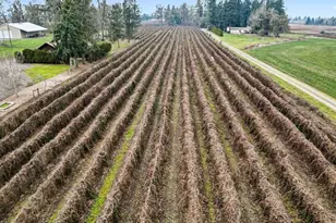 13763 NE French Prairie Rd, Gervais, OR 97026 - Photo 27