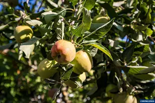 1804 Settlers Spring Dr NW, Salem, OR 97304 - Photo 33