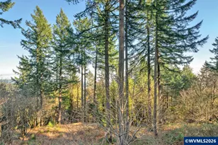 6635 NW Niagara Pl, Corvallis, OR 97330 - Photo 23